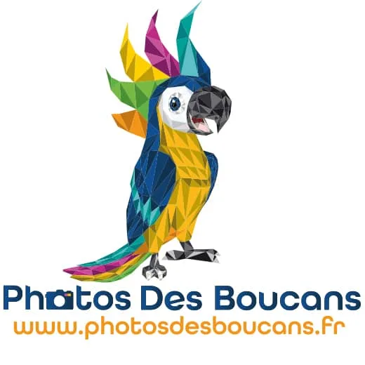 https://www.chateauneufhandball.com/wp-content/uploads/2024/06/PHOTOS-DES-BOUCANS-SPONSORS-HANDBALL-CHATEAUNEUF-LES-MARTIGUES.jpg