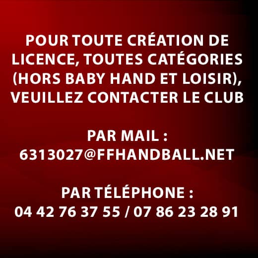 https://www.chateauneufhandball.com/wp-content/uploads/2024/07/creation-licence-handball-chateauneuf-les-martigues.jpg